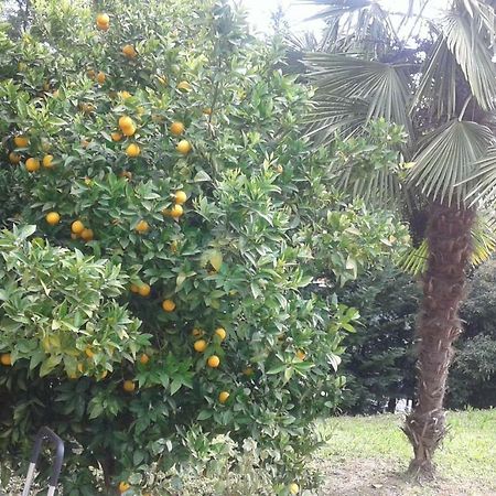 Bed and Breakfast Le Palme Chieti Exterior foto